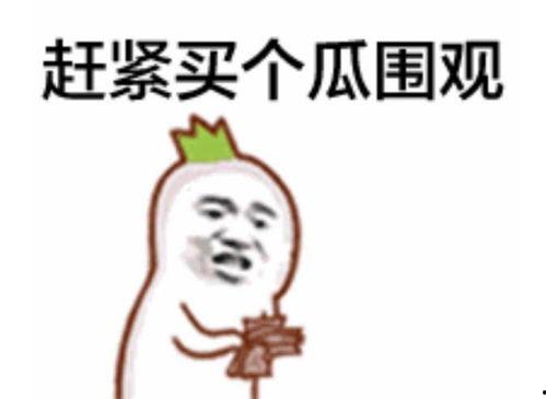 二狗子吃瓜群众公众号,揭秘娱乐圈幕后真相