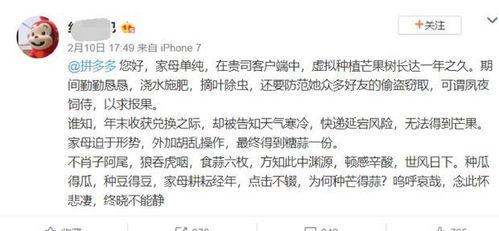 吃瓜群众文言文解释,古风视角下的围观现象