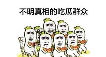 惊喜 吃瓜群众,揭秘娱乐圈风云