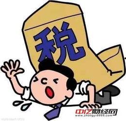 中国籍吃瓜群众是谁啊,中国籍“吃瓜群众”背后的神秘身份