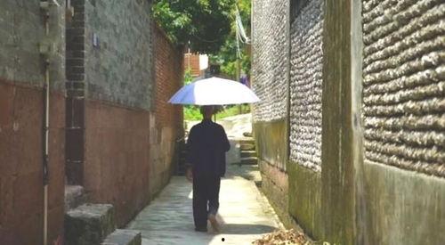 梨花巷吃瓜群众事件,一场网络舆论的风暴与反思