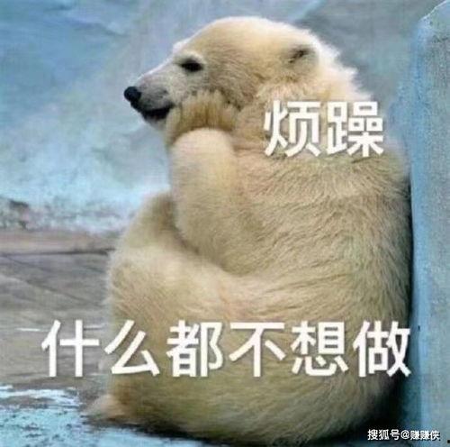 狗头吃瓜群众图片高清