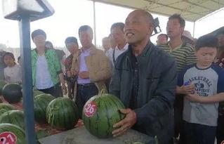 鹿城吃瓜群众事件视频曝光,视频曝光揭示惊人真相