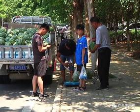 邳州邹庄吃瓜群众案件,网络围观下的法律边界探讨