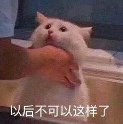 热情的吃瓜朝阳群众,热情吃瓜，见证时代变迁