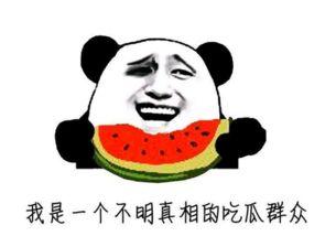 世界最牛吃瓜群众图片